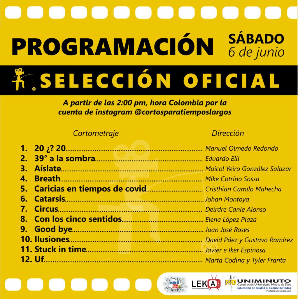 programación día 6